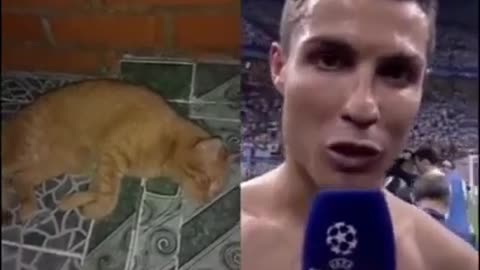 When Cristiano Ronaldo scared a Cat 😂😂 #shorts
