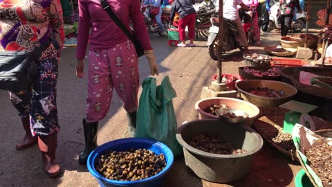 Cambodian Fish Market Tour - Early Morning Scenes of Vendors & Buyers In Siem Reap