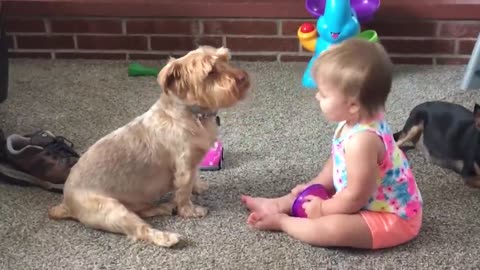 Cutest babies play with doge and cats compilation