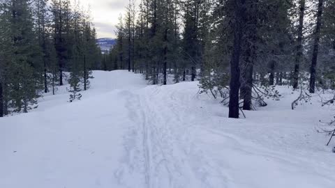 EXPLORING THE INCREDIBLE ALPINE WONDERLAND VIA SNOWSHOE! – Ray Benson Sno-Park – Central Oregon – 4K