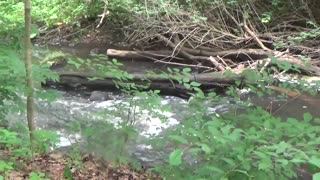 Flowing river ASMR beautiful natural sounds to relax