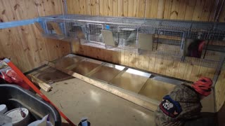 Finishing our MOTEL for RABBITS, Heated Automatic Waterers, Huge Cages, and Waste Management PT 2