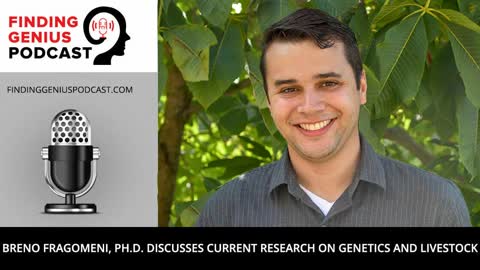 Breno Fragomeni, Ph.D. Discusses Current Research on Genetics and Livestock