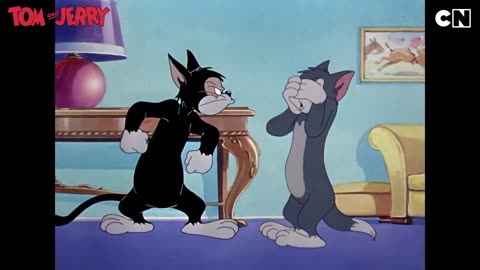 Happy International Cat Day - Tom and Jerry Cartoon
