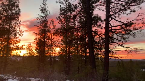 Salmon Sunrise – Central Oregon – Vista Butte Sno-Park – 4K