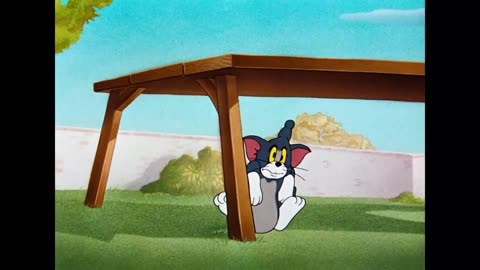 Catch up with Tom & Jerry as they chase each other