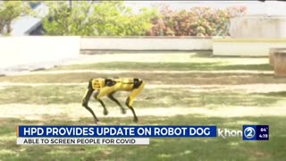 Shorts - Robot Dog Looking For Covid