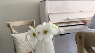 Calming Music - Gentle Blossom