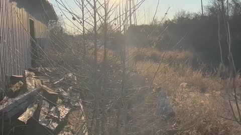 Rescuing a Deer Trapped in a Barn