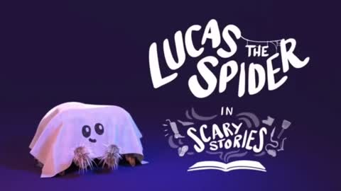 Lucas the Spider All Episodes-17