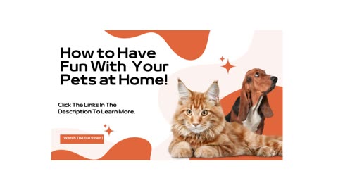 How To Have Fun With Your Pets At Home.
