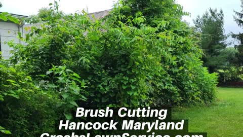 Brush Cutting Hancock Maryland Landscape Contractor