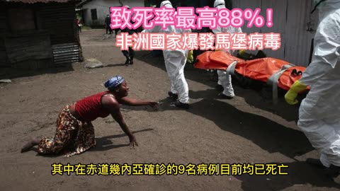 致死率最高88%！ 非洲國家爆發馬堡病毒