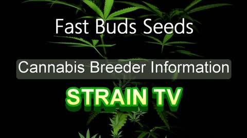 Fast Buds Seeds - Cannabis Strain Series - STRAIN TV