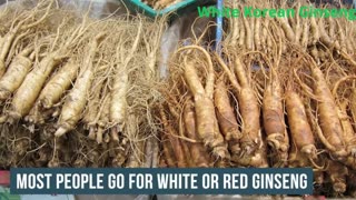 White Korean Ginseng