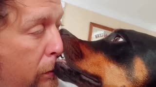Dog Feels Comfortable Getting in Close