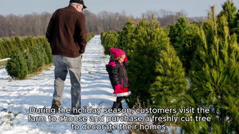 CHRISTMAS TREE FARM