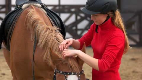 Young pretty woman preparing horse for riding. Young girl rider adjusting horse bridle outdoors