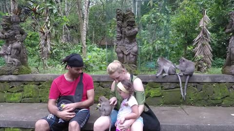 Monkey Forest in ubud Bali
