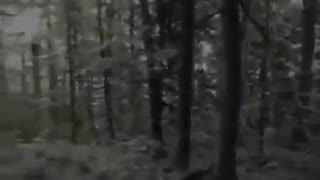 Terrifying Ghost Video