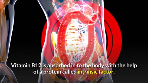 Vitamin B12 Deficiency - Causes, Signs & Symptoms