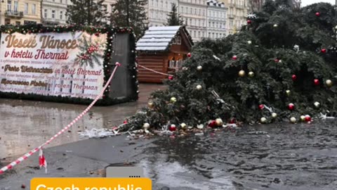 Why Are Christmas Trees Falls All Around The World?
