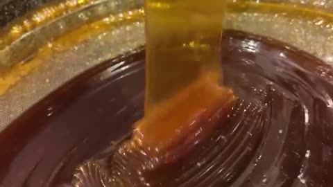 making honey (মধু)