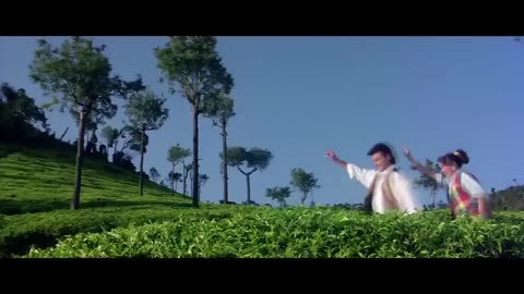 jhuki jhuki nazar teri kamaal kr gyi video song.mp4