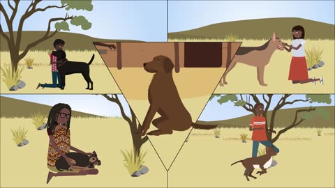 How can vaccination prevent rabies in dogs?
