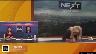 ABC Reporter Collapses On Live TV - March, 2023