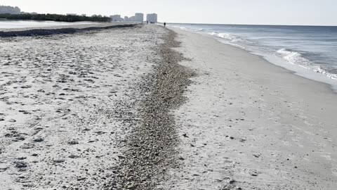 Marco Island Beachwalk #FYP #Beachwalk #MarcoIsland #mywalksinparadise #4K