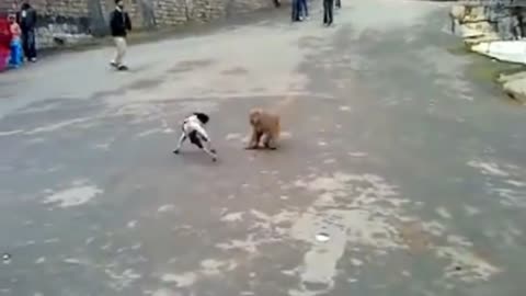 Big Fight Monkey And Dog Must Watch