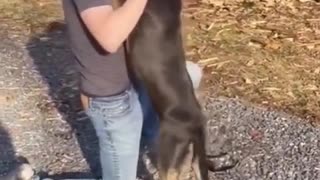 Dog Reconnects with Owner After 8 Month Deployment