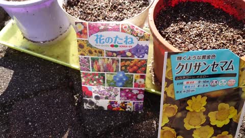 Our flower garden and scenery in Nasu, Japan.