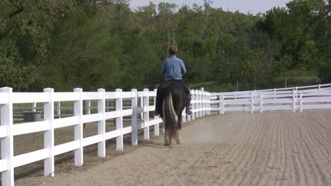 Man riding horse in fenced area