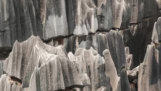 The Stone Forest: Nature's Artistry