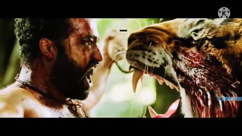 The tiger 🐯 attack of J .NTR