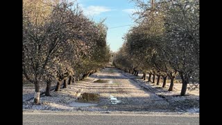 OUR HOME TOWN LEMOORE