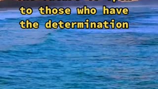 Is having dreams that inspire and motivate us the key to success and fulfillment?