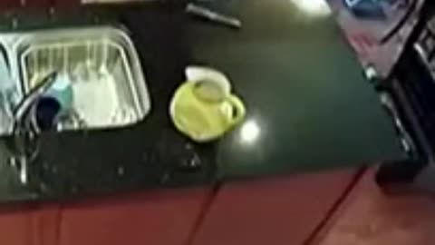 Person Caught on Camera Peeing in Cup