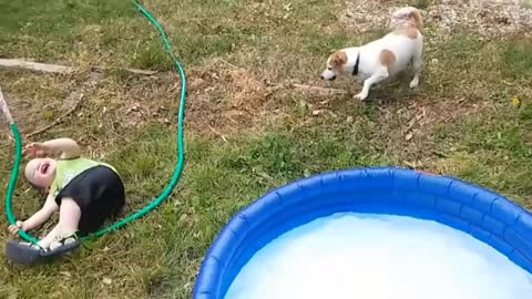 The dog insists on playing with water even if the child falls