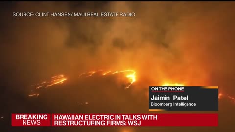 Hawaiian Electric in Talks With Restructuring Firms: WSJ