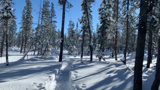 Hiking Snowy Deschutes National Forest – Central Oregon – Swampy Lakes Sno-Park – 4K
