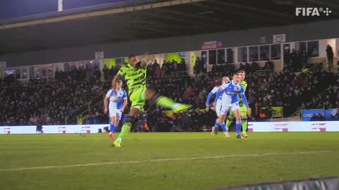 Another Way The Forest Green Rovers Story Official Trailer