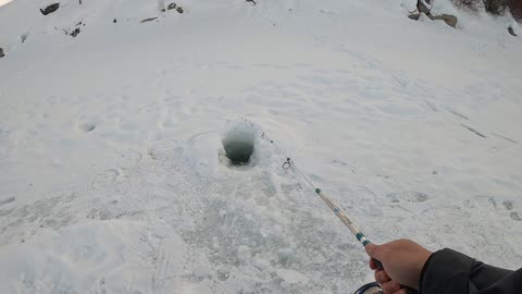 Fishing a Random Ice Fishing Hole with the a Spinning Rod? #Shorts