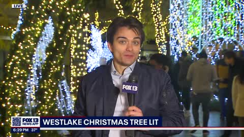 Westlake Christmas Tree Lit FOX 13 Seattle