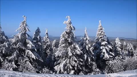 Very beautiful winter video.