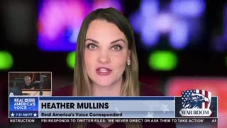 Heather Mullins: Georgia - Supreme Court Confirms Standing
