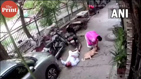 Delhi man attacks neighbours & their pet dog with iron rod