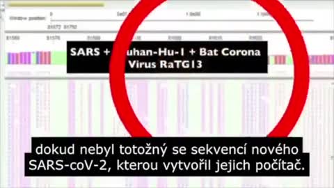 PODVOD VIROLOGIE, COVID-19, VYSVĚTLEN V 19 MINUTÁCH